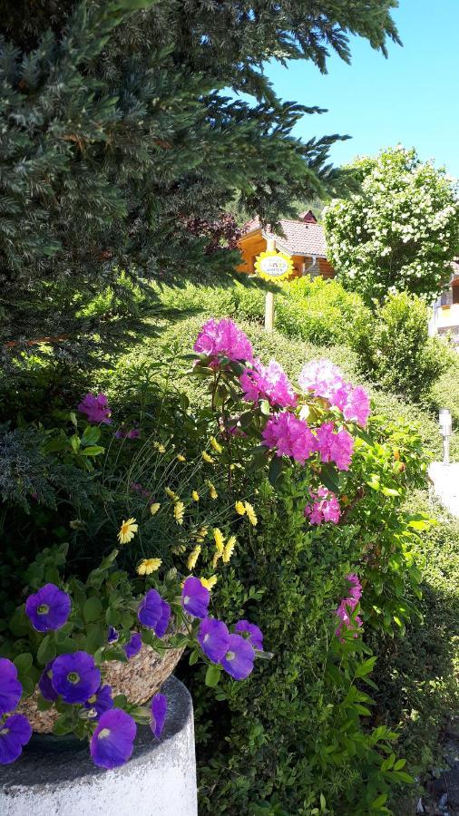Apartment Haus Dengg Mauterndorf  Dış mekan fotoğraf